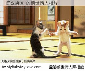 怎么换区 的前世情人