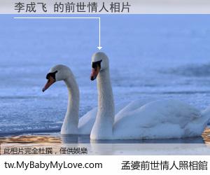 李成飞 的前世情人