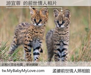 游宜蓉 的前世情人