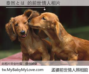 泰然とは 的前世情人