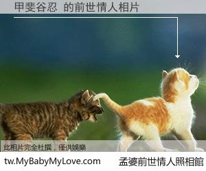 甲斐谷忍 的前世情人