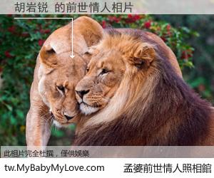 胡岩锐 的前世情人