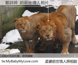 鄭詩婷 的前世情人