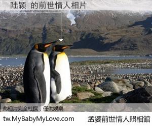 陆颖 的前世情人