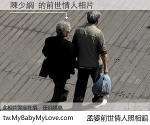 陳少綱 的前世情人