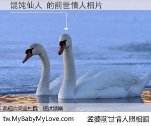 馄饨仙人 的前世情人