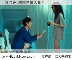 魏君蓉 的前世情人