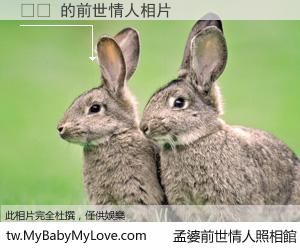 쩜오 的前世情人