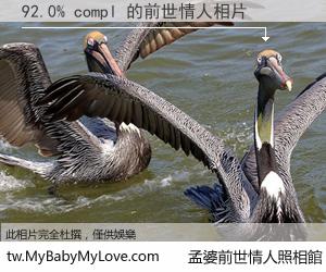92.0% compl 的前世情人