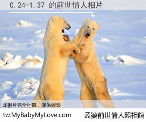 0.24-1.37 的前世情人