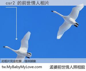 csr2 的前世情人