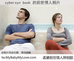 cybersyn book 的前世情人