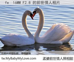 fe  16MM F2.8 的前世情人