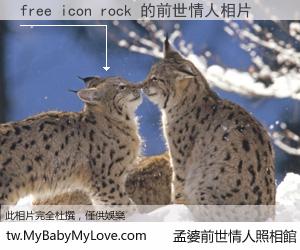 free icon rock 的前世情人