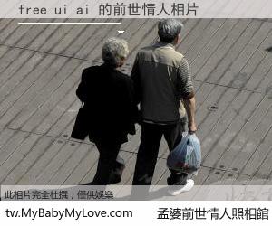 free ui ai 的前世情人