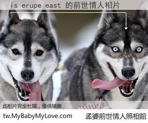 is erupe east 的前世情人