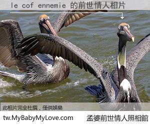 le cof ennemie 的前世情人
