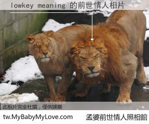lowkey meaning 的前世情人