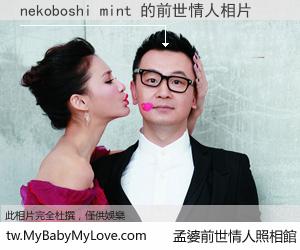 nekoboshi mint 的前世情人