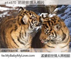 atx670 的前世情人
