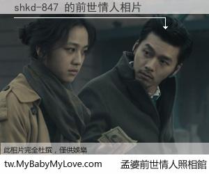 shkd-847 的前世情人