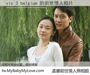 vic 3 belgium 的前世情人