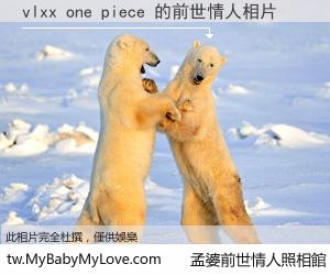 vlxx one piece 的前世情人