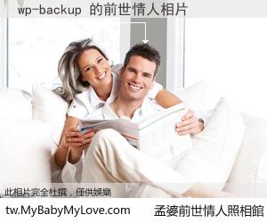 wp-backup 的前世情人