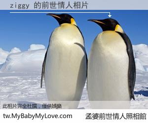 ziggy 的前世情人