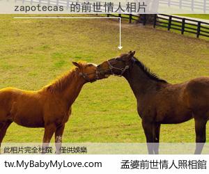 zapotecas 的前世情人