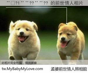 ��?1��??��?? 的前世情人