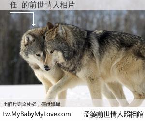 任 的前世情人