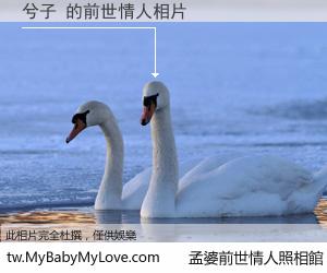 兮子 的前世情人