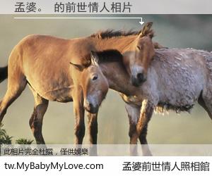 孟婆。 的前世情人