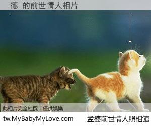 德 的前世情人
