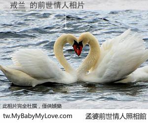 戒兰 的前世情人