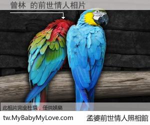 曾林 的前世情人