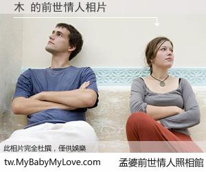 木 的前世情人