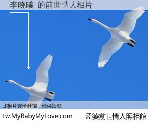 李晓曦 的前世情人