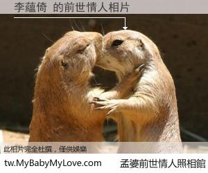 李蘊倚 的前世情人