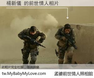 楊新儀 的前世情人