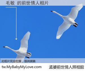 毛敏 的前世情人