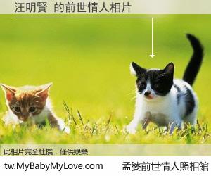 汪明賢 的前世情人