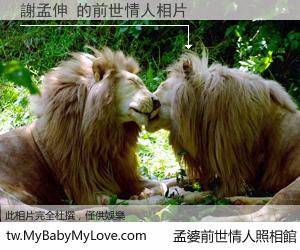 謝孟伸 的前世情人