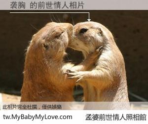 袭胸 的前世情人