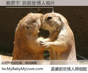 赖思宁 的前世情人