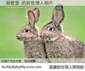 谢敬萱 的前世情人