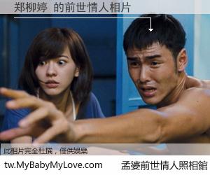 郑柳婷 的前世情人