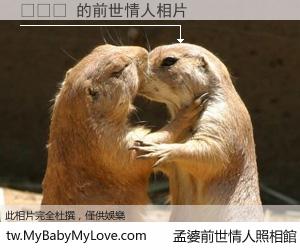 고어짤 的前世情人