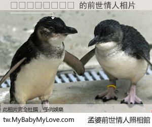 😎😎 的前世情人